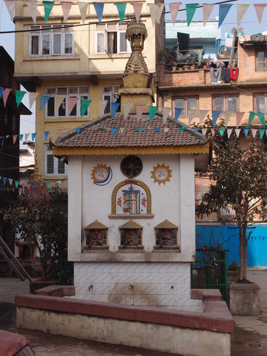 2018-01-19 11 Uhr - Patan (Foto, Video) 